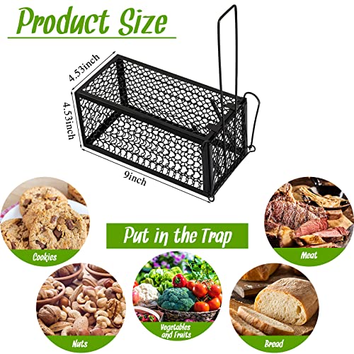 Qualirey 2 Pcs Humane Rat Trap Chipmunk Rodent Mouse Squirrel Trap,Black | 9.1 x 4.5 x 4.5 Inches Mouse Voles Hamsters Cage Rat Cage for Mice Easy to Catch and Release - color: Black