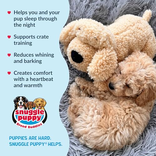 Snuggle Puppy Heartbeat Dog Toy for Puppies, Real-Feel Heartbeat, Calming Sleep Aid and Crate Training Comfort Toy with Heat Pack, Medium Breed Buddies Doodle Appearance (Goldendoodle, Poodle Mix) - color: Doodle