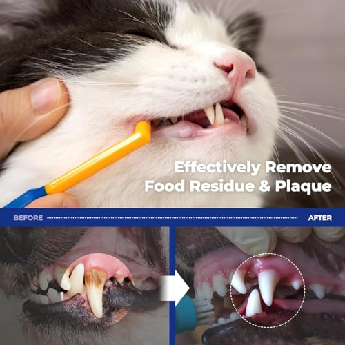 PETHROOM Pet Toothbrush for Cats & Dogs, 4mm Precision Head (Deep Point) | Round Shaped Head with Ultra Soft Bristle for Deep Cleaning Dental Care, Kitten & Small Dogs, Tartar Plaque Removal - color: Deep Point