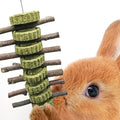 Vila Rabbit Chew Stick, Hanging Treat, Apple Chew Sticks with Round Grass Cakes, Oral Care and Gums, Suitable for Rabbits, Chinchillas, Guinea Pigs and Parrots, 1-Piece