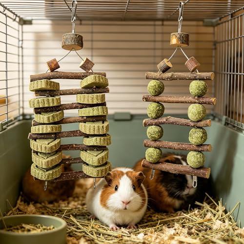 Bunny Chew Toys for Teeth Grinding, 2 Pack Double-Row Natural Grass Cake Apple Wood Hanging Rabbit Toys for Guinea Pigs, Chinchillas, Hamsters Small Pets Cage Decor