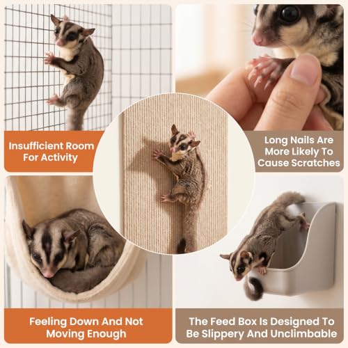 3PCS Sugar Glider Toys Climbing Mats, Sugar Glider Cage Accessories