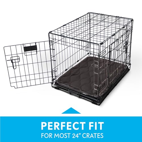 Paw Inspired Washable Padded Crate Mats for Dogs, Gray, 23x17 Inch | Fits 24-inch Kennels, Leakproof, Waterproof Bottom, Plush Dog Pad, Pet Bed - color: Gray, size: 24 Inch