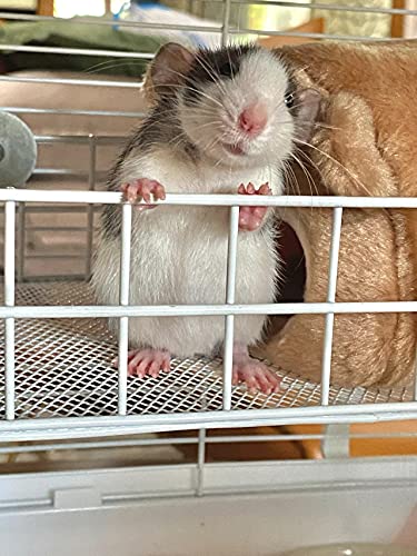 All-Metal Chew-Proof Rat Cage Platforms Chinchilla Ledge for Ferret | Sturdy Chew Resistant Ledge Ramp for Sugar Glider Squirrel, Easy Install Metal Cage Accessories for Rodents - color: White