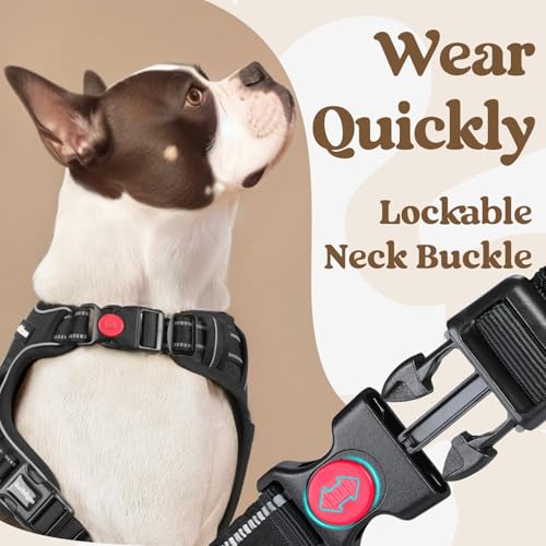 rabbitgoo Dog Harness Small Sized, Updated Easy On & Off with 3 Buckles | No Pull No Choke, Walking with 2 Clips and Handle, Adjustable Soft Reflective, Black, Small - color: Black, size: Small