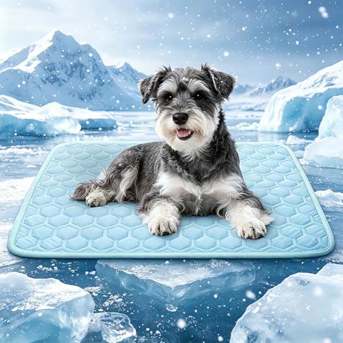 Dog Cooling Mat for Summer (Q-Max>0.5) Washable, Portable & Non-Toxic | Self-Cooling Bed for Dogs & Cats, High-Tech Fabric, For Crates, Beds, Cars - size: Small