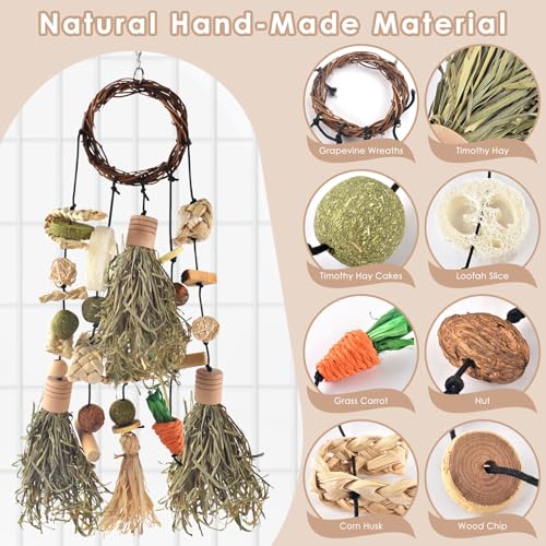 Bissap Rabbit Chew Toy Snack for Small Pet | Bunny Cage Hanging Chewing, Natural Teeth Grinding Toy Treat, for Guinea Pig Chinchilla Hamster Rat (Timothy Hay & Vine) - style: Timothy Hay & Vine
