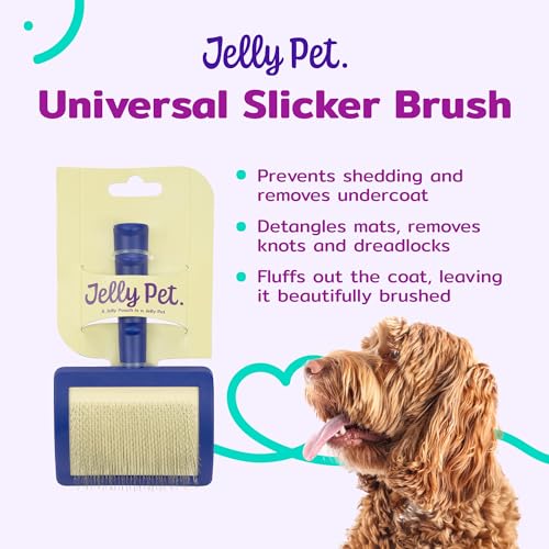Jelly Pet Universal Slicker Brush for Dogs, Dog Grooming Brush, Remove Tangles/Dead Undercoat, Tuffer Than Tangles, Doodle Huskie Sheep Dog Golden Retriever German Shepherd, Soft Pin, Purple, Large - color: Purple, size: Large (3 in x 4 in) - Pins (Firm)