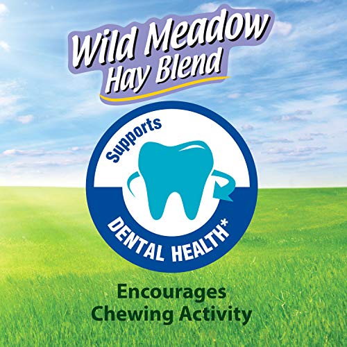 Kaytee All Natural Timothy Hay Wild Meadow Hay Blend for Guinea Pigs, Rabbits & Other Small Animals, 24 Ounce - size: 1.5 Pound (Pack of 1)