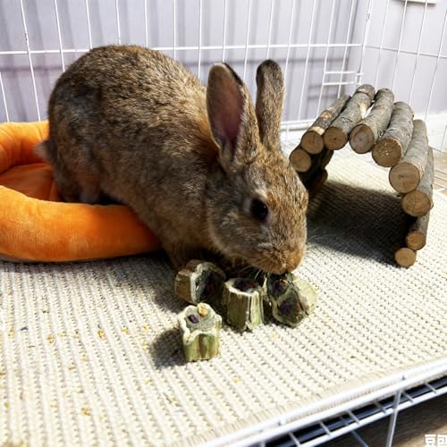 Rabbit Chew Toys for Teeth Guinea Pig Treats Papaya Wood for Bunny (3.5oz) | bunny supplies,rabbit enrichment toys,rabbit stuff,rabbit toys for bunnies boredom,for bunny guinea pig chinchilla Hamster - size: 3.5oz（A）