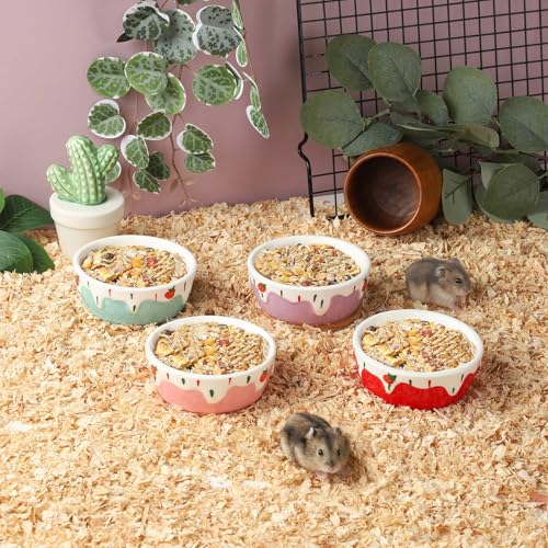 VanEnjoy 2 Pack Hamster Food Bowl Small Ceramic Water Food Bowl for Cage Small Animal Bowls for Hamster Guinea Pig Chinchilla Rabbit - Red and Pink - color: Red and pink