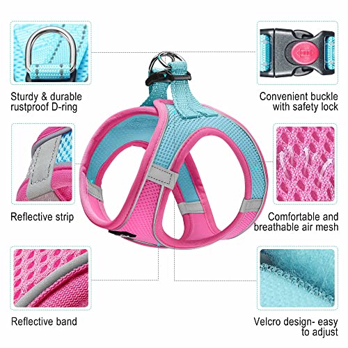 haapaw Dog Harness with Leash Set, No Pull Adjustable Reflective Step-in Puppy Harness with Thickened Padded Vest for Extra-Small/Small Medium Dogs - color: Blue / Pink, size: XS