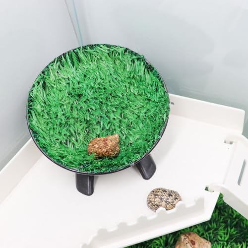 Hermit Crab Climbing Toys, Hamster Wheel, Reptile Tank Accessories, Hermit Crab Supplies, Running Wheel Toys