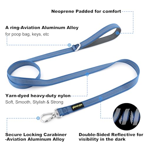 Plutus Pet Heavy Duty Dog Leash with Lockable Aluminum Carabiner, 6 FT Long | Double-Sided Reflective Nylon, Padded Handle, Heavy Duty, for Puppy Small Medium and Large Dogs (Blue, 1" x 6') - color: Blue, size: 1" x 6'