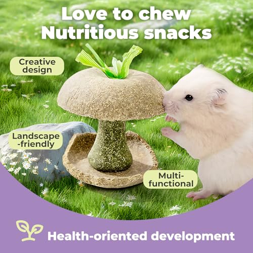 mini&moe Hamster Chew Toys for Teeth - Guinea Pig Chew Toys for Teeth Food Chews Treats Hamster Cage Accessories for Rabbit, Bunny, Chinchilla, Rat and Small Animal 3.1in Apple Core Shaped