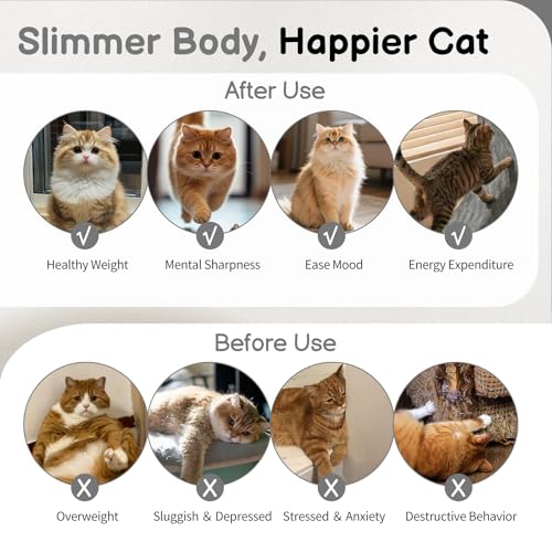 Cat Exercise Wheel for Indoor Cats, 31.5" Cat Treadmill with Detachable Carpet ＆ Locking Mechanism, Cats Running Wheel Helps Cats to Lose Weight and Keep Health, Easy Assembled (Gray)