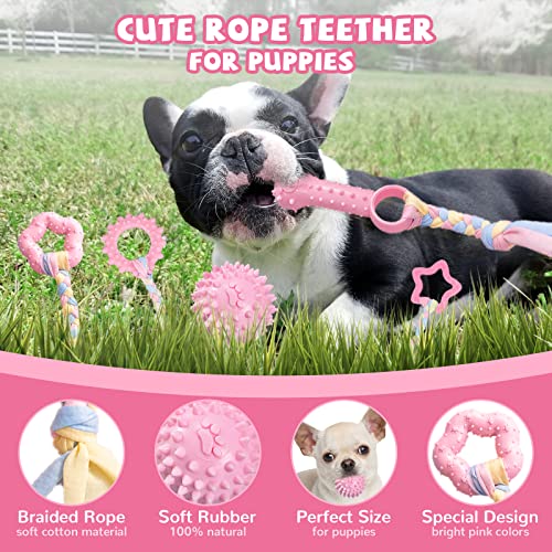 ABRRLO 6 Pack Puppy Teething Toys Cute Pink Puppy Chew Toys for Teething Small Breed Dog Chew Toy Interactive Pet Toy Set for Puppies to Keep Them Busy Soft Durable Small Breed Doggy Chewing Ball - color: Pink