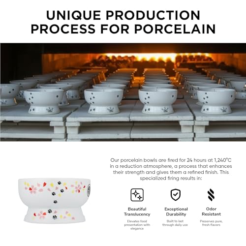 Raised Cat Water Bowl (Sakura Limited Edition) - color: Sakura, size: Regular