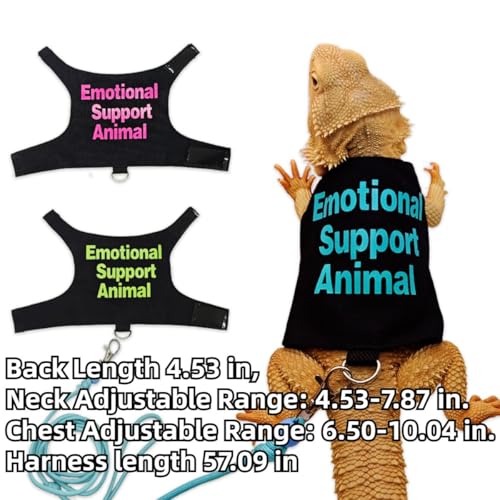 Bearded Dragon Lizards Clothes with Leash Set for Small Pets Reptiles Guinea Pig Apparel Lizards Outdoor Walking Training Harness Leash Hand-Made Costume Photo Prop (Blue) - color: Blue