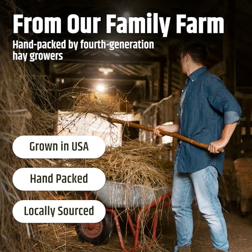 High Desert Orchard Grass Hay for Rabbits, Guinea Pigs, Chinchillas, 4 lb | Soft Leaf Low Protein Forage, Ideal For Adult Or Overweight Pets, Great Alfalfa Alternative, Hand Packed in the USA, Low Dust