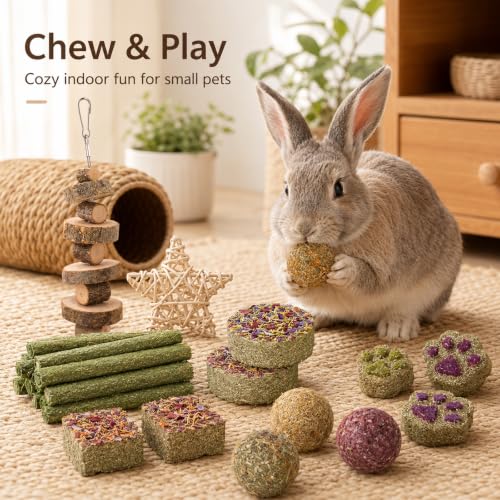 Grddaef Rabbit Toys, Guinea Pig Toys 17Pcs Natural Timothy Hay Bunny Chews and Treats for Hamster Chinchilla Gerbil - color: 17 Pcs
