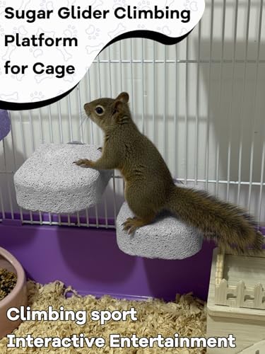 Lava Ledges for Rats 6 Pack Hamster Climbing Ledge Platform Pumice Ledge Shelf Pet Chewing Grinding Toys Small Animals Cage Accessories for Mouse Guinea Pig Gerbil Gray - color: Gray, size: 6 PCS 2.95 x 2.55 x 0.98 inches