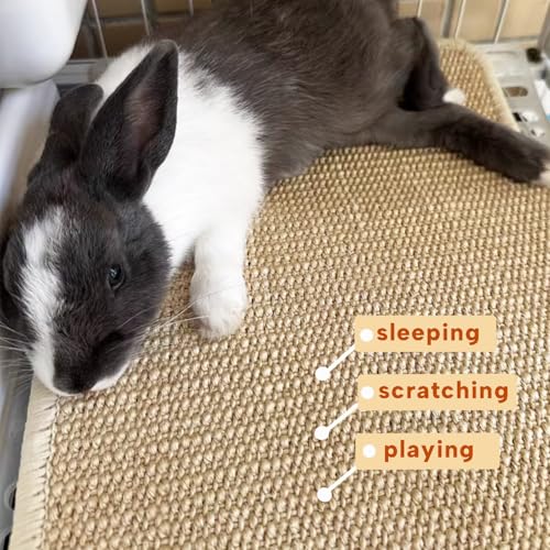 KEYIDE 2Pc Bunny Scratch Pads, Natural Sisal Rabbit Scratching Mat for Nails, Chew Toys for Indoor Pet Guinea Pigs Chinchillas Ferrets Sleeping Playing, 16"X12"