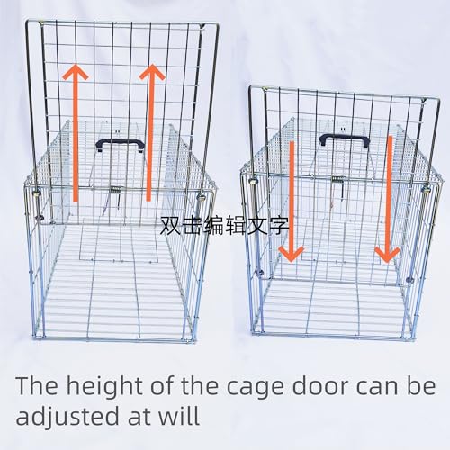 Animal Trap Cage Pigeon Squirrel Racoon Outside Trapping Live Small Animal Bird Trap Cage - size: 23.6"*11.8"*11.8"/Medium