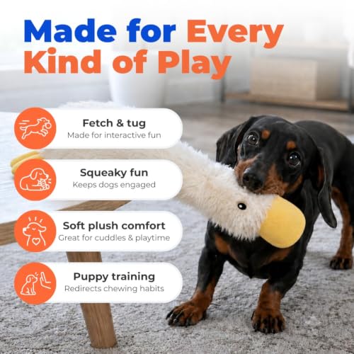 Best Pet Supplies Interactive Squeaky Dog Toy - Crinkle Duck, White | Stuffing Free Body, Soft, Squeaks & Crinkles, No Mess, Perfect for Moderate Chewers, Toss and Fetch Play - color: Crinkle Duck (White), size: Large