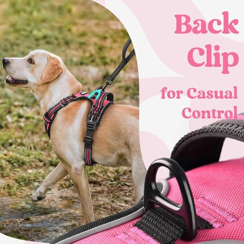 rabbitgoo Dog Harness Small Sized, Updated Easy On & Off with 3 Buckles | No Pull No Choke, Walking with 2 Clips and Handle, Adjustable Soft Reflective, Rose Pink, Small - color: Rose Pink, size: Small