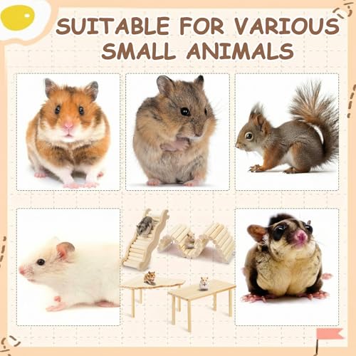 BreezeHug 4 Pcs Hamster Cage Accessories Hamster Platform Hideout Wooden Tunnel Ladder Playhouse Game Climbing Toy with Platform for Pets Dwarf Syrian Mice Degus Gerbils Squirrel(Climber) - style: Climber