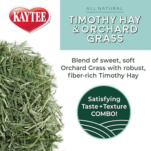 Kaytee Timothy Hay & Orchard Grass for Guinea Pigs, Rabbits & Other Small Animals, 48 oz - size: 3 Pound (Pack of 1)