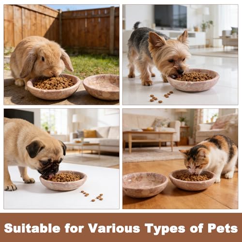 Natural Marble Cat Bowl, Weighted 1.5lb Cat Food Bowl for Cat and Small Dog, Small Animal Pet Food Dish Non-Slip, Shallow Dish for Whisker Fatigue Relief, Premium Red Stone for Home Decor - color: Red