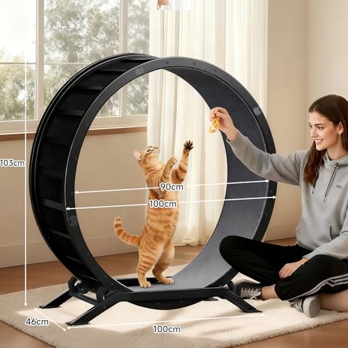 GTPLAYER Cat Wheels, 40" Diameter, Large Cat Exercise Wheel for Indoor Cats cat Treadmill Metal with Detachable Carpet & Teaser/Stickers, Ultra-Quiet Scroll Wheel with Latch, Safe and Stable, Grey