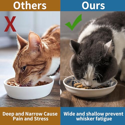 3 Ceramic Cat Bowls,5.5 inch Wide Shallow Cat Food Bowl for Relief Whisker Fatigue - color: Blue-A