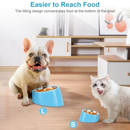Tilted Dog Bowl Non-Slip & Non-Spill Pet Feeder with Elevated Detachable Melamine Stand, Easy to Get Food Dog Dish, L/300ml Sky Blue - color: Sky Blue, size: Large(300ml)