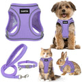 GAMUDA Small Pet Harness Collar and Leash Set, Step in No Chock No Pull Linen Fabric Soft Mesh Dog Vest Harnesses Reflective for Dogs Puppy Cats Kitten Rabbit (Purple, XXS) - color: Purple, size: XXS
