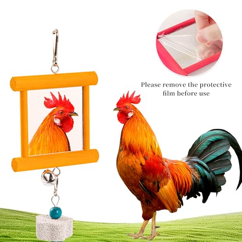 14PCS Chicken Toys for Coop Accessories, Swing Bridge Ladder Mirror Xylophone Toys with Bells Hanging String Vegetable Fruits Skewer Hanging Feeder Chicken Chewing Toy for Hens Chick Bird Parrot