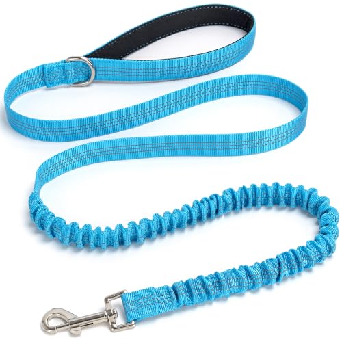 5FT Bungee Dog Leash Shock Absorbing Reflective Nylon Lead 2cm Wide | Soft Handle- Lightweight- Anti-Pull Training for Small/ Medium Dogs- 6 Colors - color: Teal
