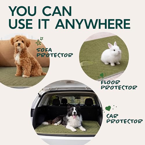 Washable Pee Pads for Dogs 23x35 – Reusable Puppy Pads for Pee Potty Training & Indoor Dog Potty – Nonslip & Large Waterproof Pet Mat, Whelping Pad - color: 1 Pee Pad