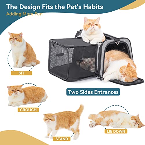Petsfit Expandable Cat Carrier, 16"X10" X9" Pet Carrier Airline Approved, Soft-Sided Collapsible, Pet Carrier with Locking Safety Zippers, Removable Soft Plush Mat, Pocket for Pets up to 10lbs, Gray,S - color: Gray, size: 16.0"L x 10.0"W x 9.0"H
