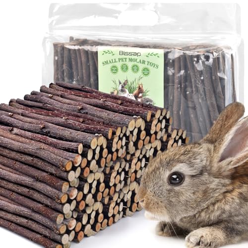 Bissap Apple Sticks for Rabbits, Natural Bunny Chew Toys and Treats for Chinchilla Guinea Pig Hamster Gerbil Small Animals Pet Apple Wood Stick Toys Teeth Grinding (940g/2lb) - size: 940g/2lb