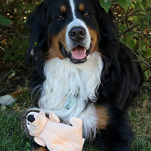 SmartPetLove Snuggle Puppy Tender-Tuffs Crinkle - Large Tough Plush Stuffed Hedgehog Animal Dog Toy with Puncture Resistant Squeaker and Super Strong Seams - style: Hedgehog