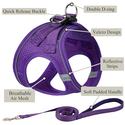 Dog Harness with Leash Set, Step-in Adjustable Puppy Pet Vest, Purple XXS | Lightweight Breathable Air Mesh, Night Safety Reflective, No Pull Puppy Vest Harnesses for Small Medium Large Dogs, Cats - color: Purple, size: XXS(Chest:10"-12")