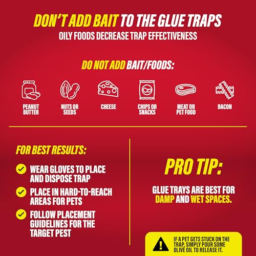 Catchmaster Rat, Snake and Mouse Traps 8Pk, Large Bulk Glue Rat Traps for Home, Adhesive Plastic Tray for Inside House, Snake, Mice, & Spider Catcher, Pest Control for House & Garage - size: 8 Pack, style: 8 Regular