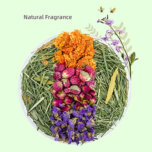 Niteangel Natural & Soft Hamster Bedding Mate: Air-Dried Flowers & Grass | Fun to Cage Habitat & Adds Vibrant Color - Decor for Syrian Dwarf Hamster Gerbils Mice Degus or Other Small-Sized Pet - size: Orchard Grass & Flower