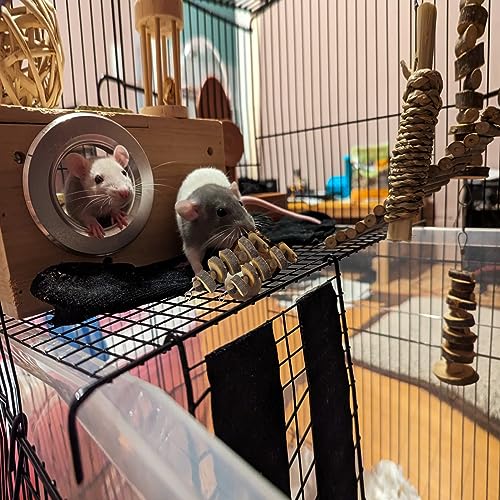 LWINGFLYER Small Animal Chews Toy Natural Apple Wood Block Cage Hanging Molars Treats Snack for Hamsters Rabbits Bunny Bird Parrots Chinchilla Guinea Pig Gerbils Squirrels (4pcs Natural Apple Wood) - color: 4pcs Natural Apple Wood