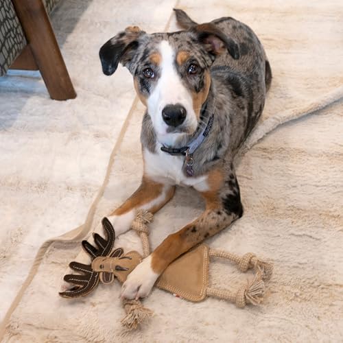 SPOT Dura-Fused Leather Forest Animals - Dog Toy with Squeaker and Rope Limbs, Real Leather and Jute Chew Toy, Durable No-Stuffing Toy For Light to Moderate Chewers - 14in, Assorted Styles, 1 Piece