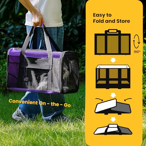 Conlun Cat Carrier Bag,Soft-Sided Pet Carriers for Dogs with 4-Sided Mesh,Airline Approved Cat Transport Carrier for Small&Medium Cats Kitten Puppy Up to 15LB,Collapsible Cat Travel Carrier-M,Purple - color: Purple, size: M
