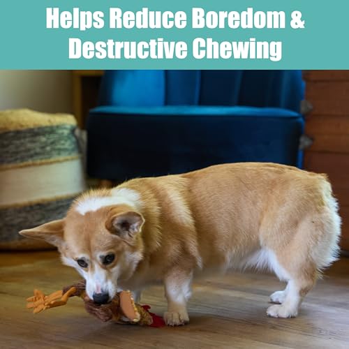 SPOT Skinneeez Chicken 13 Inch Stuffing-Free Plush Squeaky Dog Toy – Soft Interactive Chew Toy for Small and Medium Dogs – Mess-Free Play for Light & Moderate Chewers - style: Mini Chicken